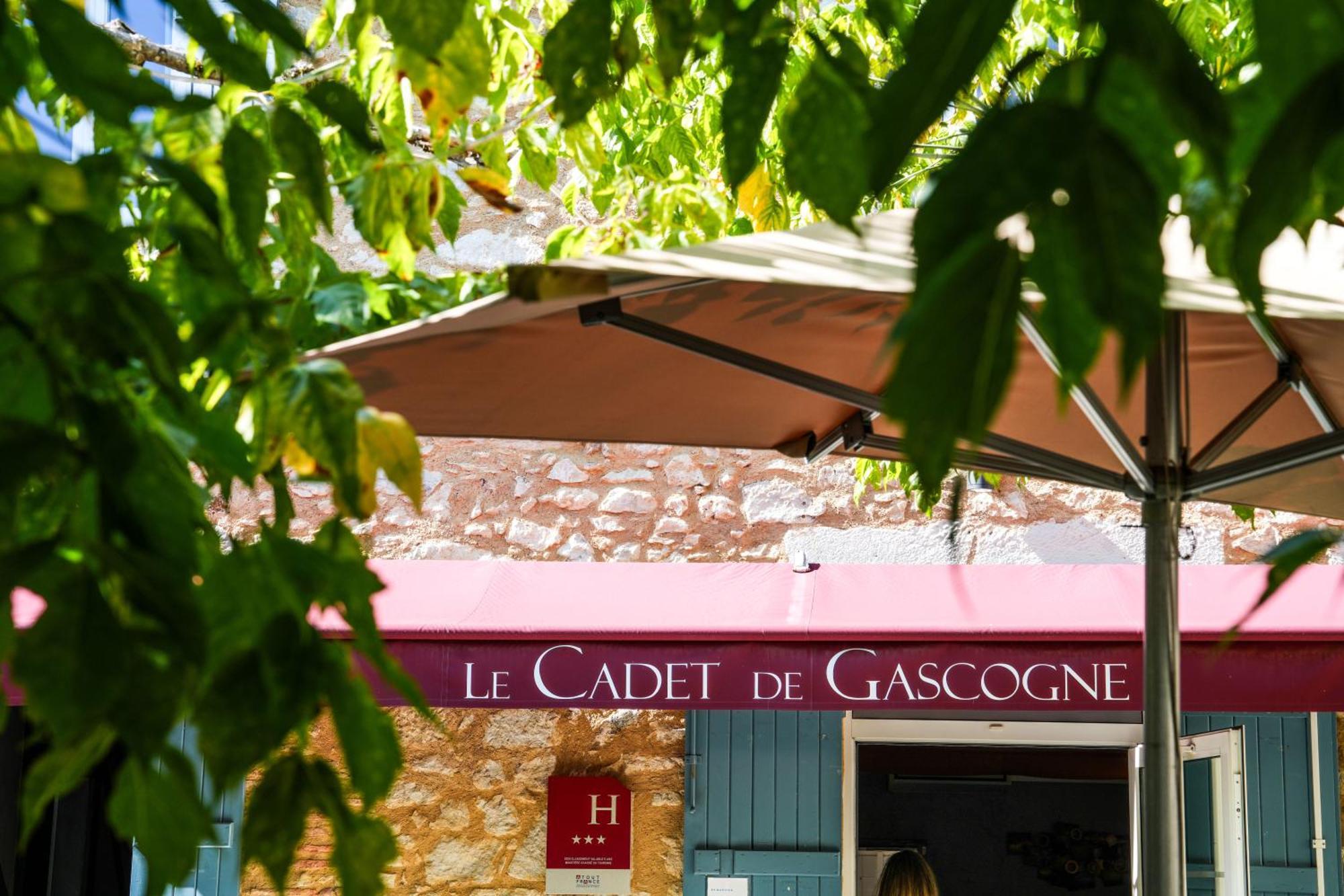 Logis Hotel & Restaurant Le Cadet De Gascogne Saint-Justin  エクステリア 写真